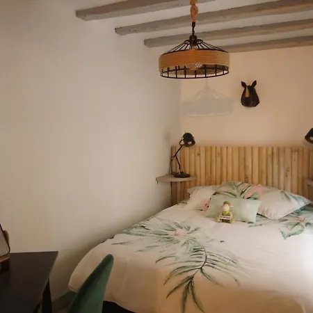 Maisonnette Atypique En Triplex Au Calme Hyper-centre Place Du Ralliement アンジェ