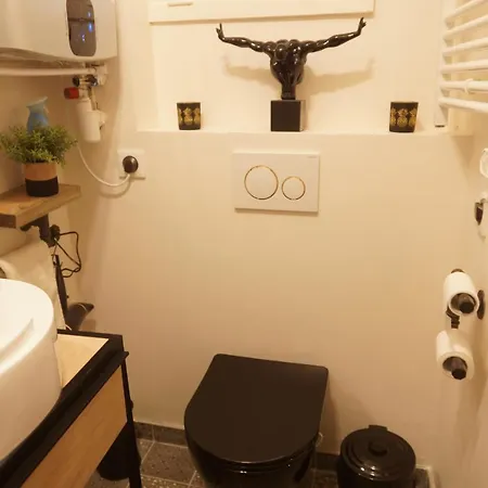 Apartment Maisonnette Atypique En Triplex Au Calme Hyper-centre Place Du Ralliement *