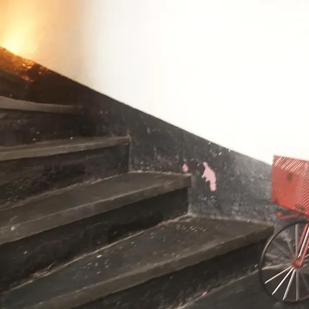 Maisonnette Atypique En Triplex Au Calme Hyper-centre Place Du Ralliement