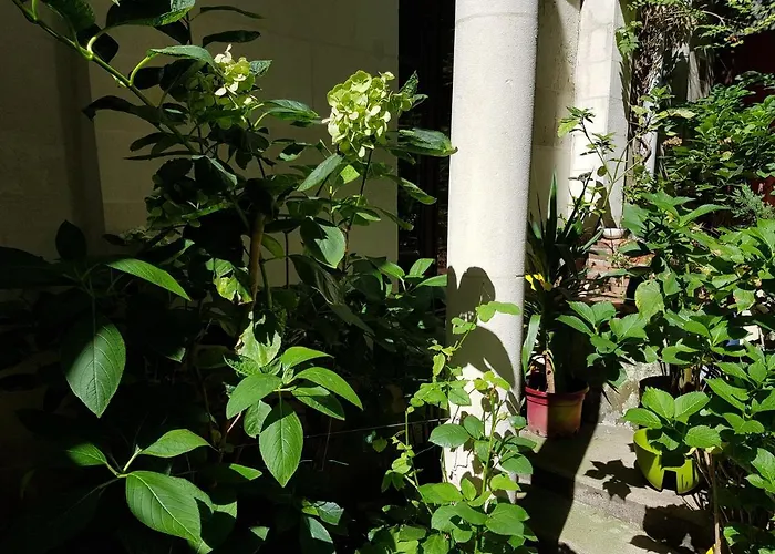 Maisonnette Atypique En Triplex Au Calme Hyper-centre Place Du Ralliement Daire *